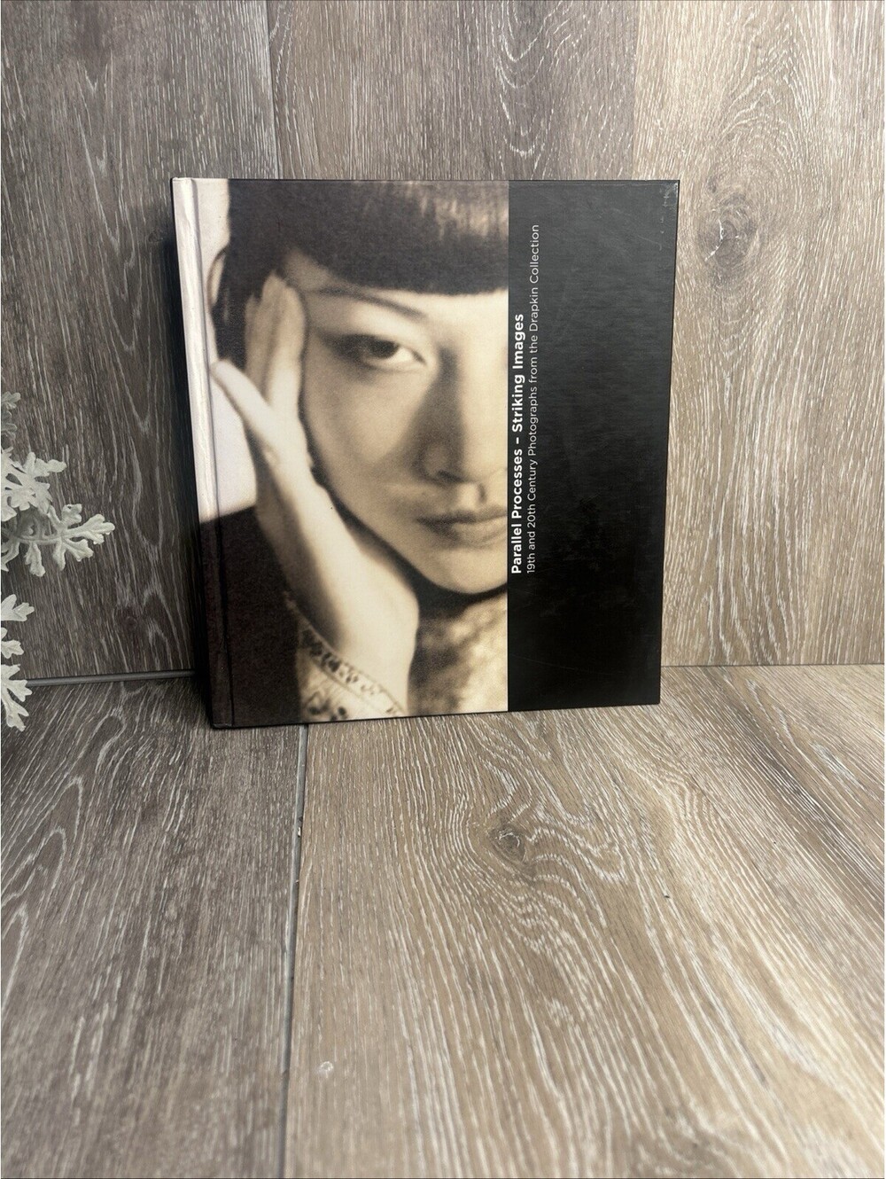 Parallel Processes--striking Images 19th and 20th Century Photographs Hardcover